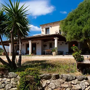 Bed & Breakfast Antica Caresi, Olbia